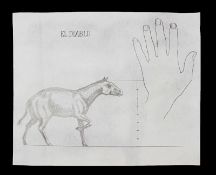 THE VALLEY OF GWANGI (1969) - Ray Harryhausen Hand-Drawn Scale Comparison of El Diablo A hand-