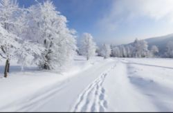 09 Apr check Timed 1