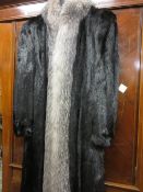 Ladies three quarter length dark brown fur coat with fox fur trim60cm from underarm