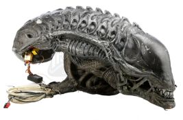 AVPR: ALIENS VS. PREDATOR: REQUIEM (2007) - Xenomorph SFX Head