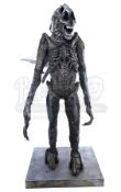 AVP: ALIEN VS. PREDATOR / AVPR: ALIENS VS. PREDATOR: REQUIEM - Xenomorph Creature Costume Display