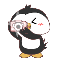 29102025 check Timed 1